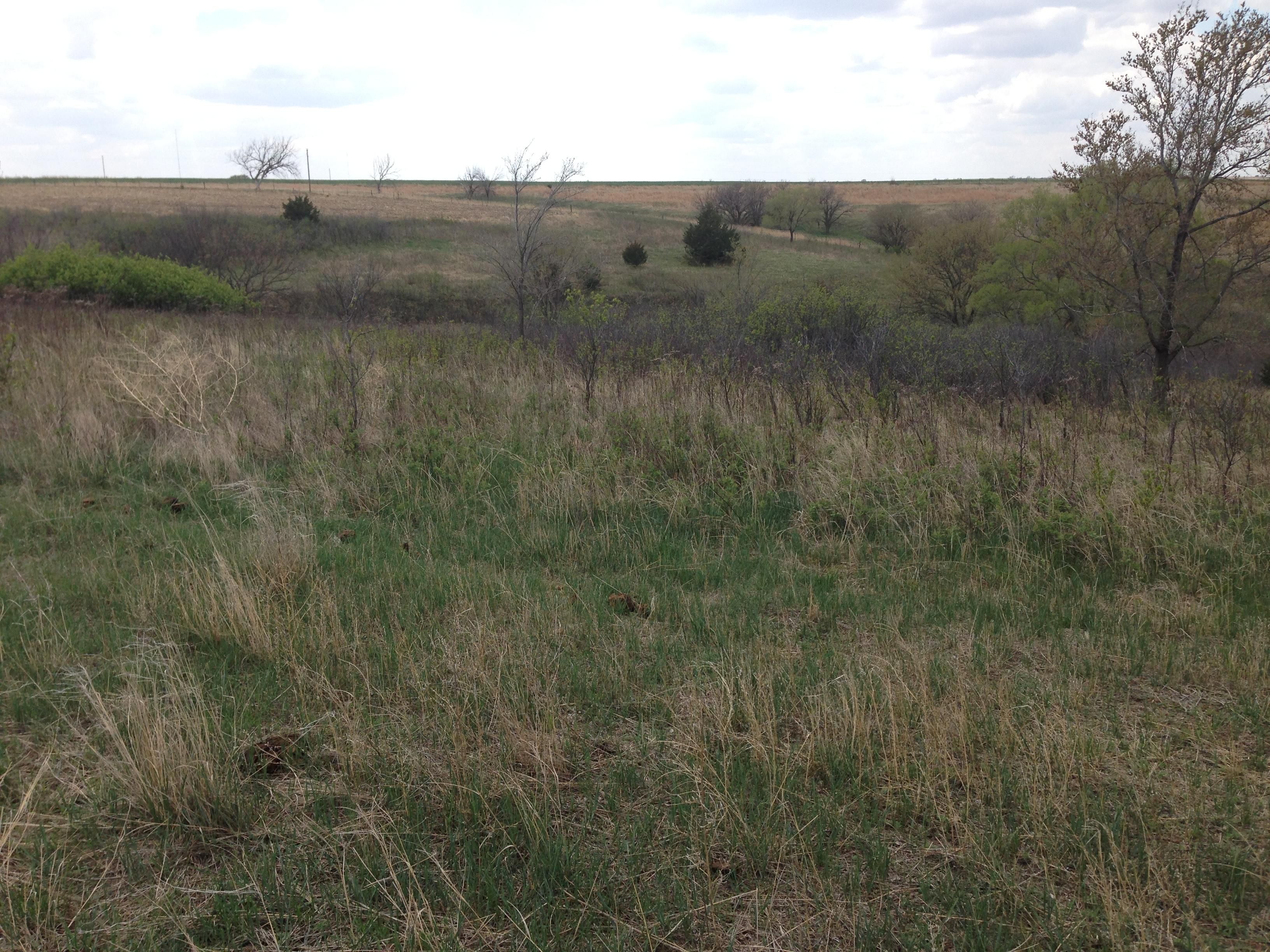 100 acres in Frontier County, Nebraska