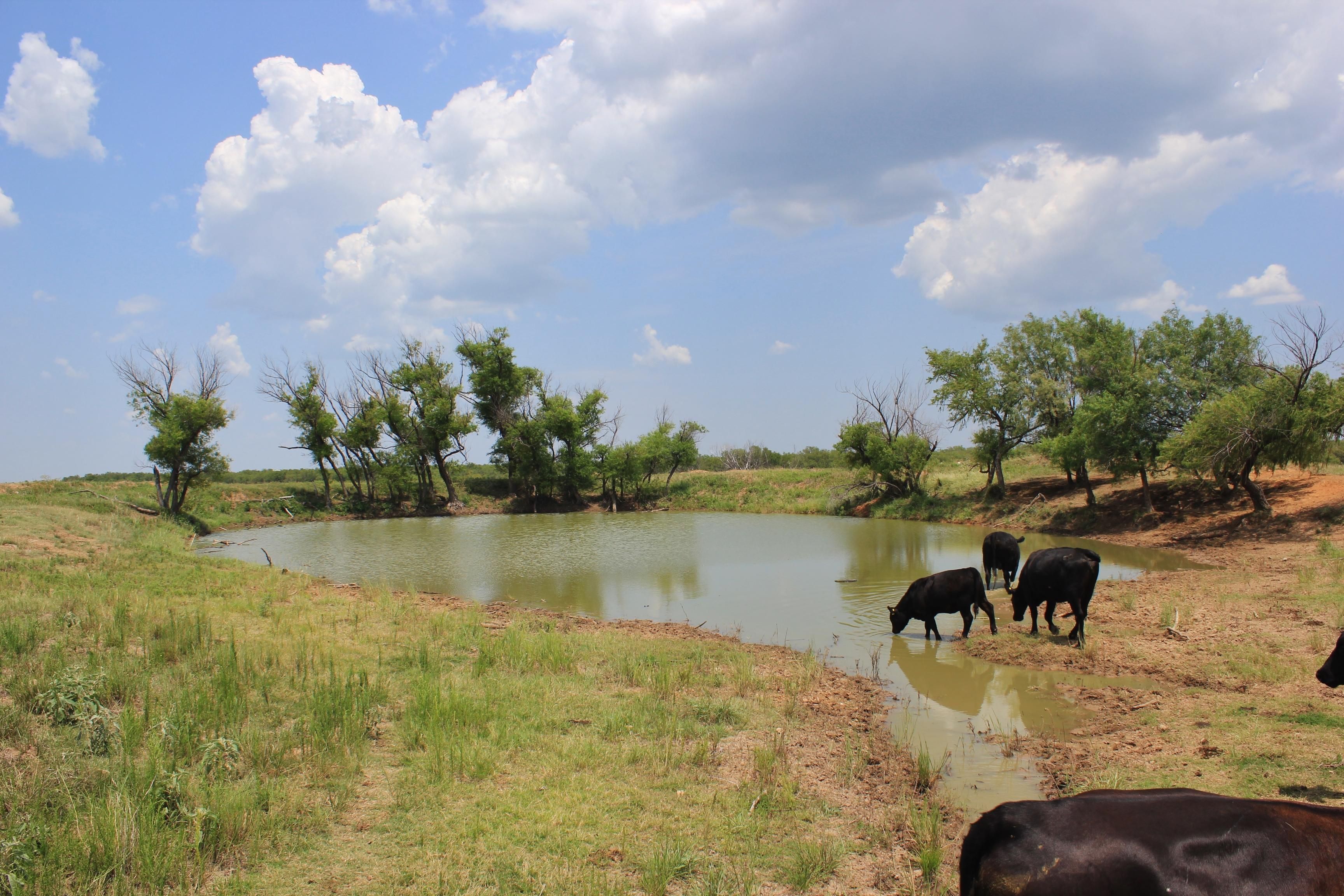100 acres in Clay County, Texas