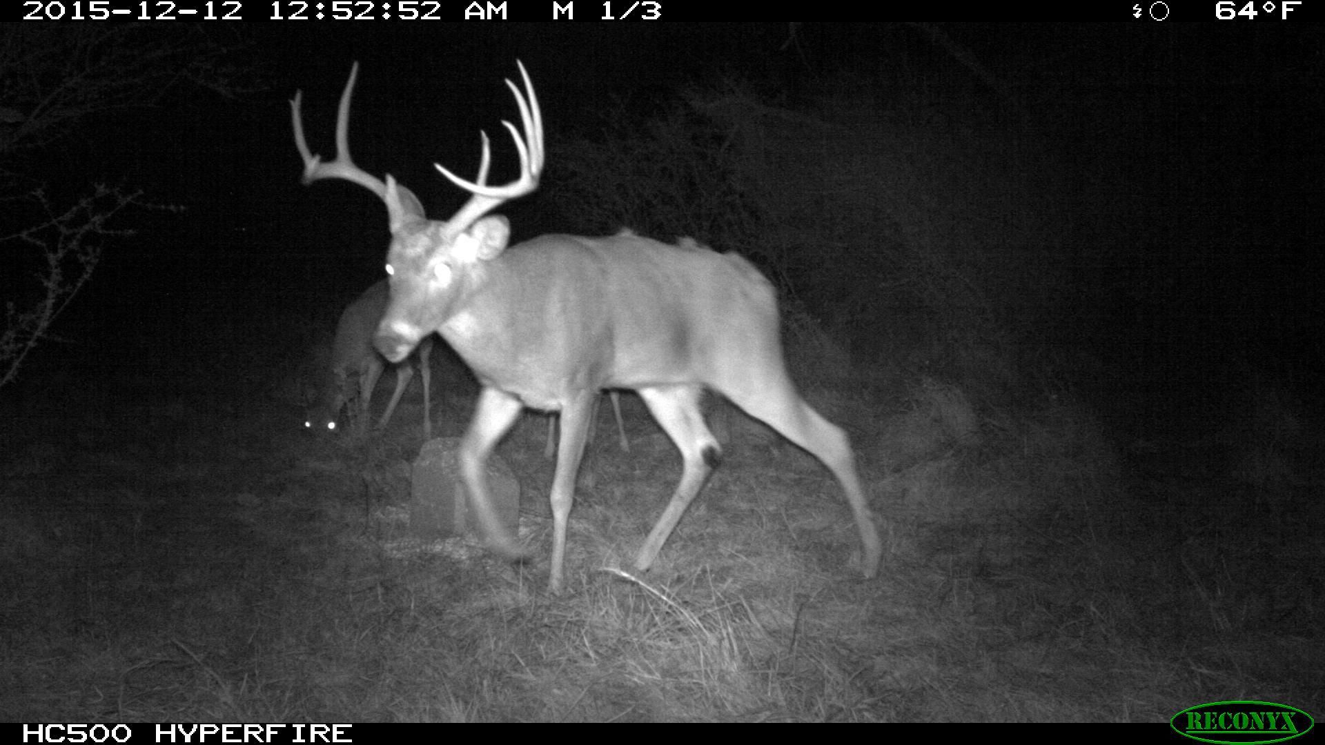 214 acres in Menard County, Texas