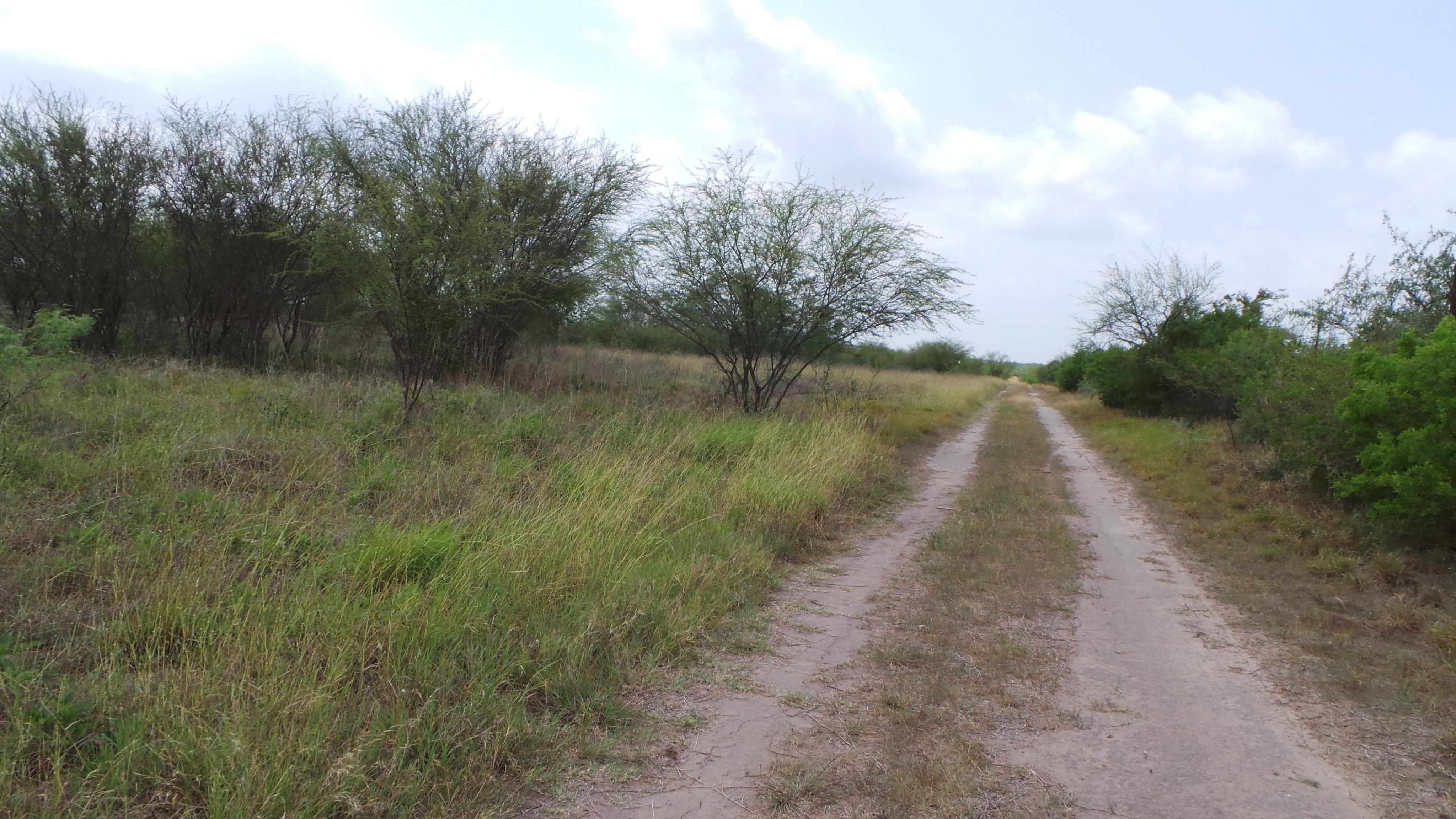 40 acres in Jim Wells County, Texas