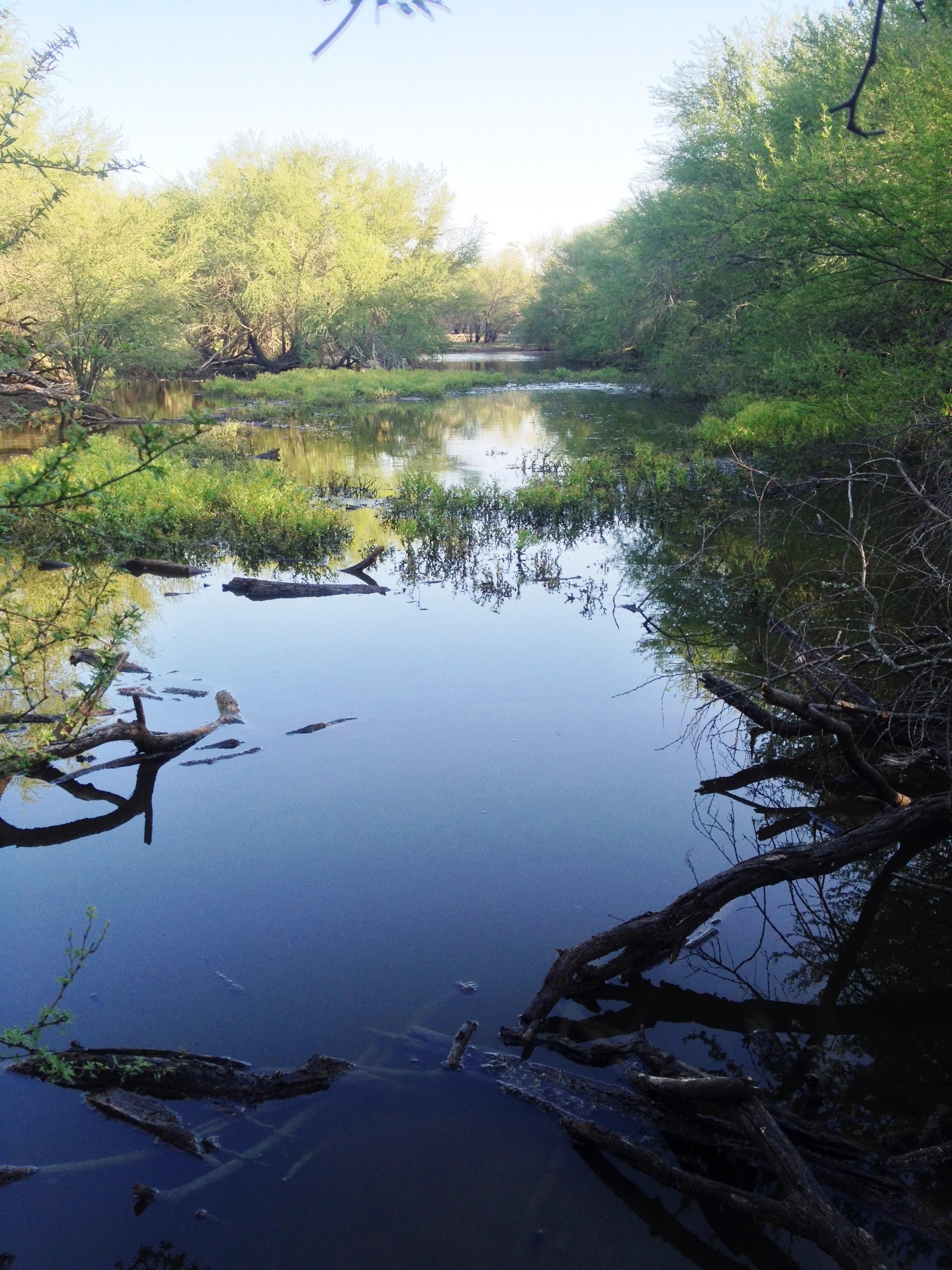 165 acres in Live Oak County, Texas