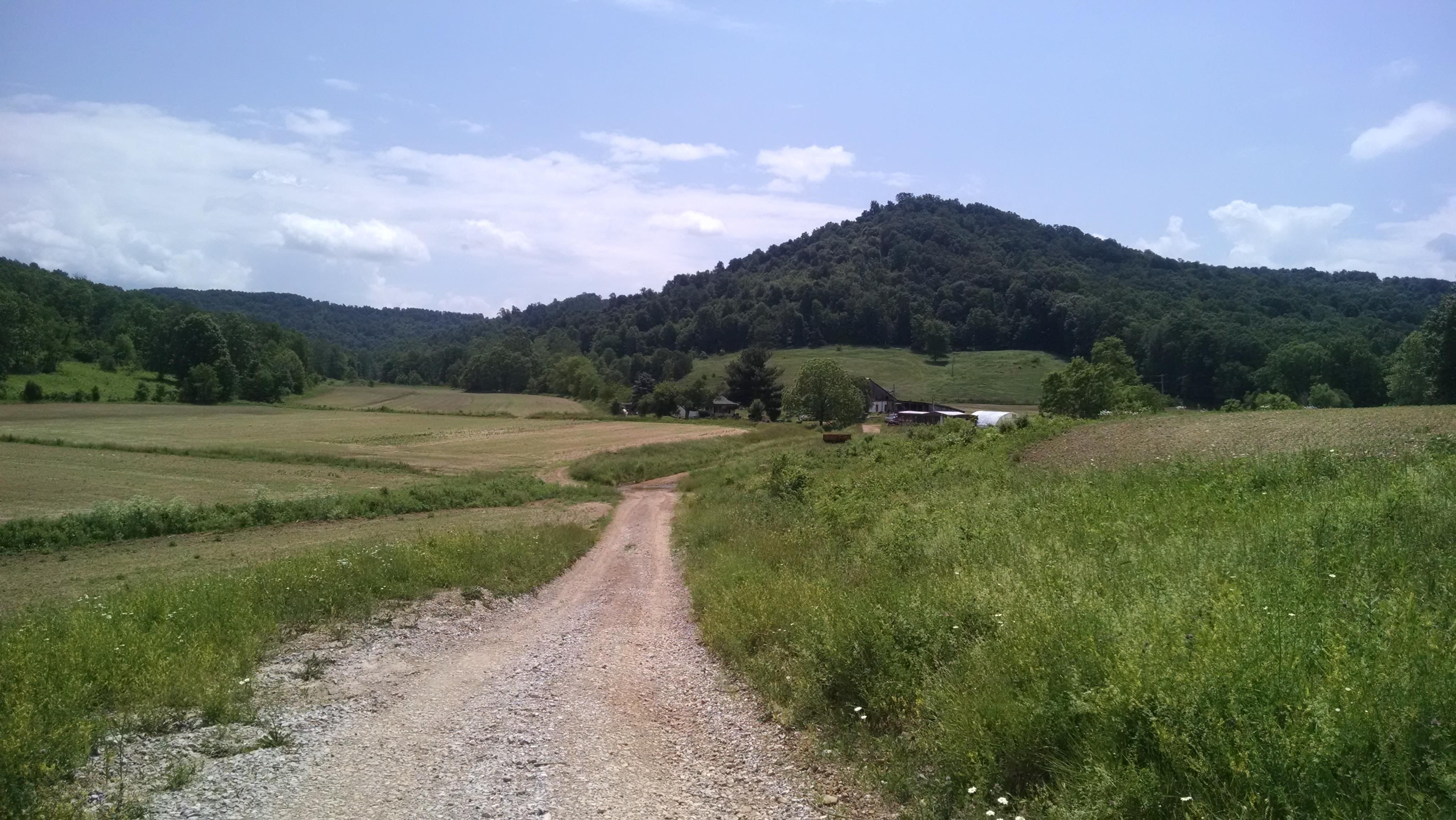 148.5 acres in Lewis County, Kentucky