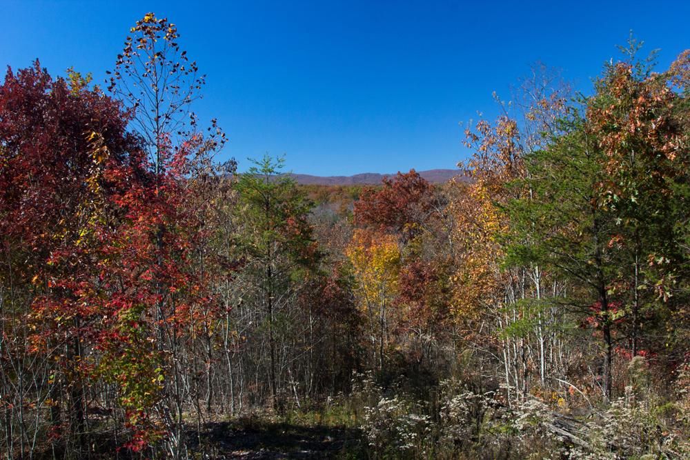 20.24 acres in Rhea County, Tennessee