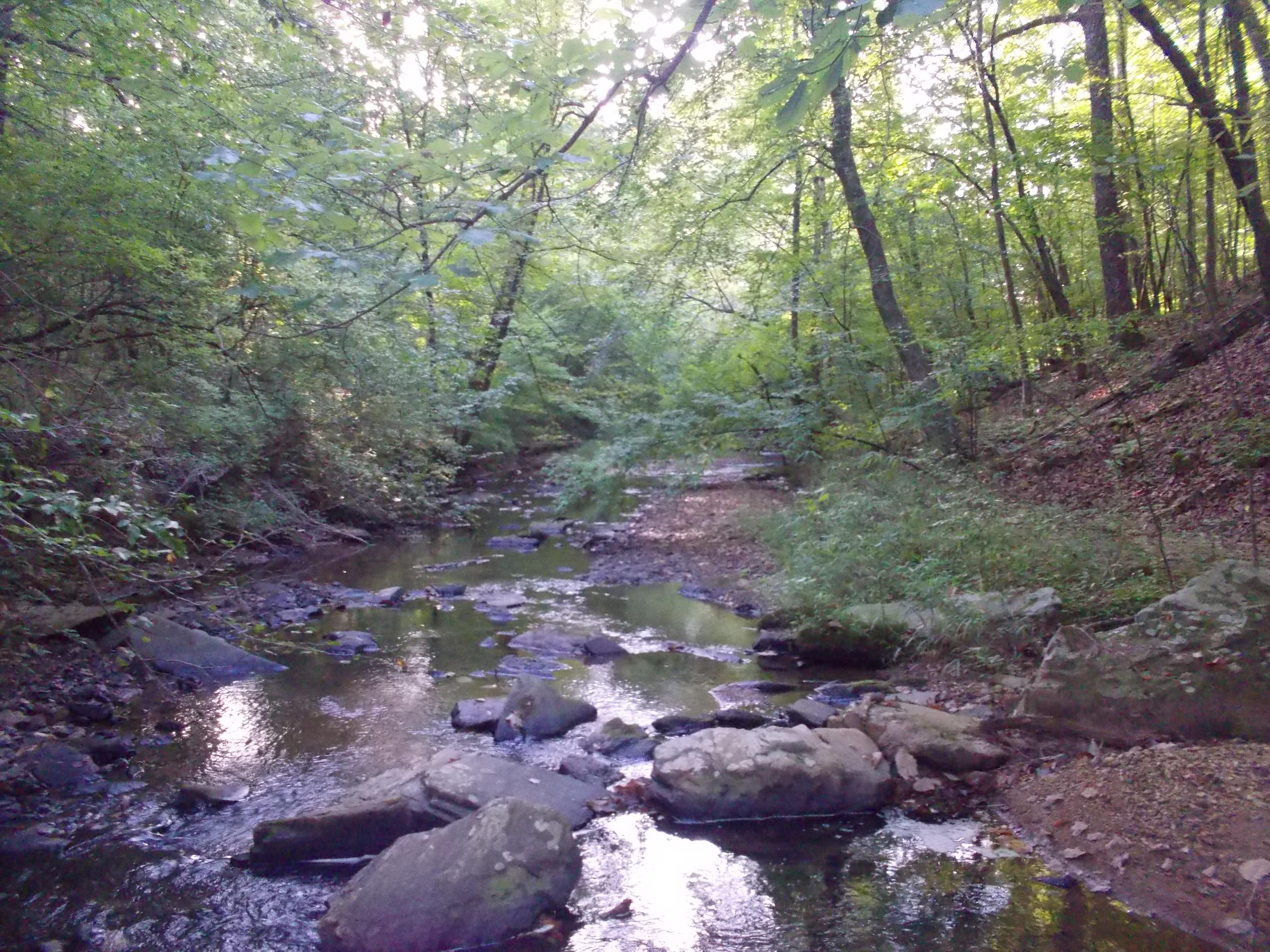 260 acres in Coosa County, Alabama