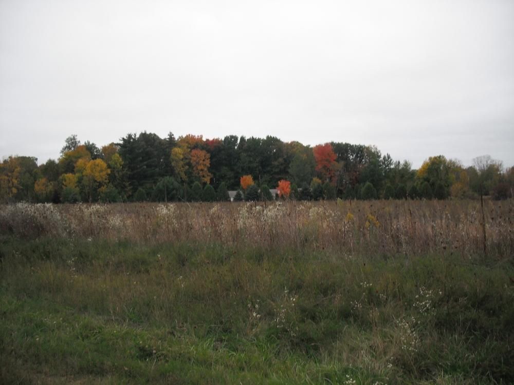 5.06 acres in Oconto County, Wisconsin