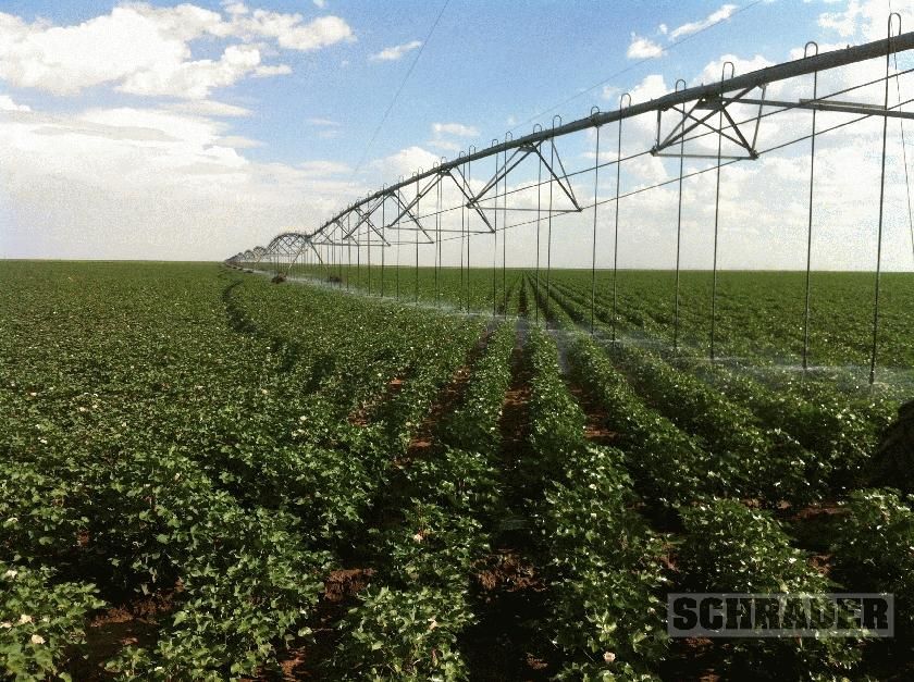 12,160 acres in Hartley County, Texas