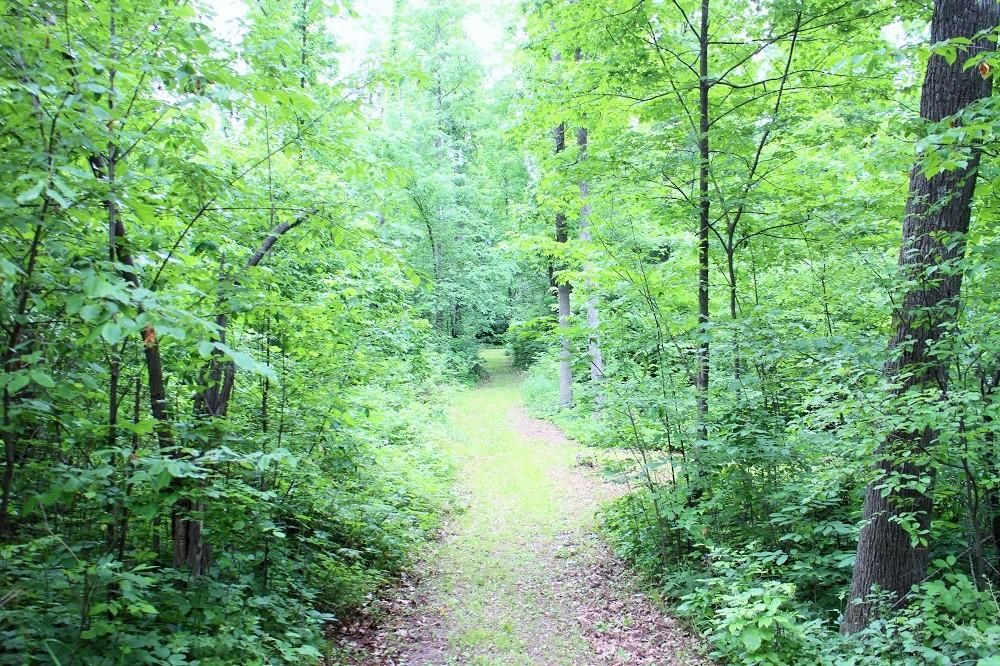 58 acres in Ingham County, Michigan