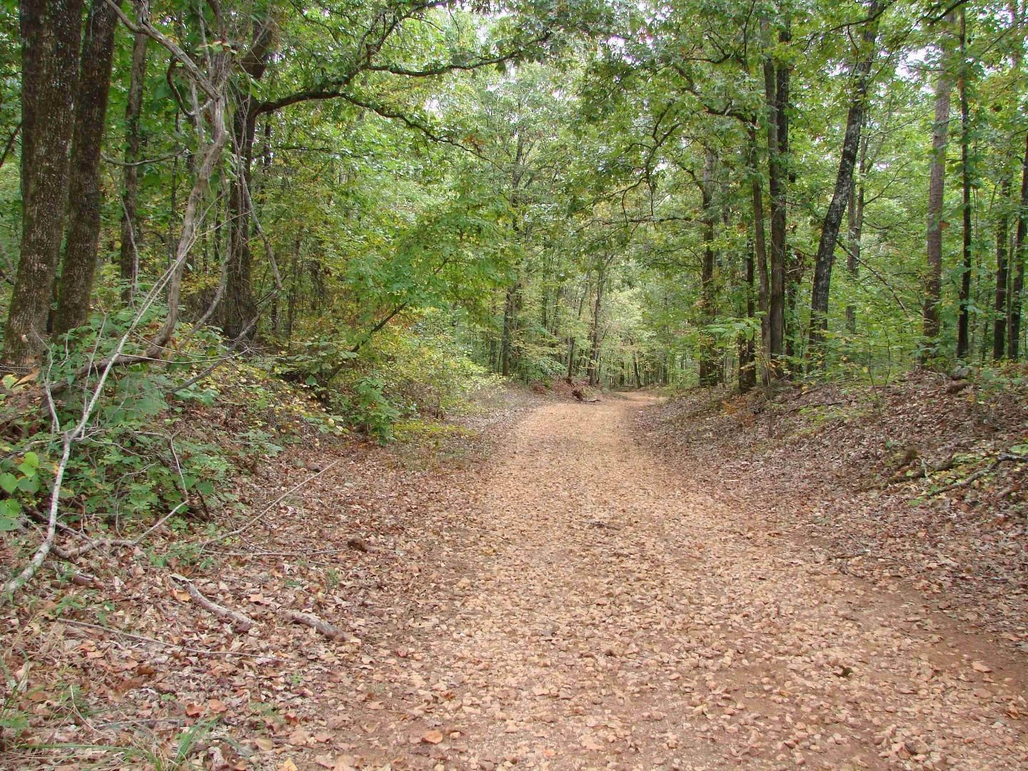 160 acres in Lee County, Alabama