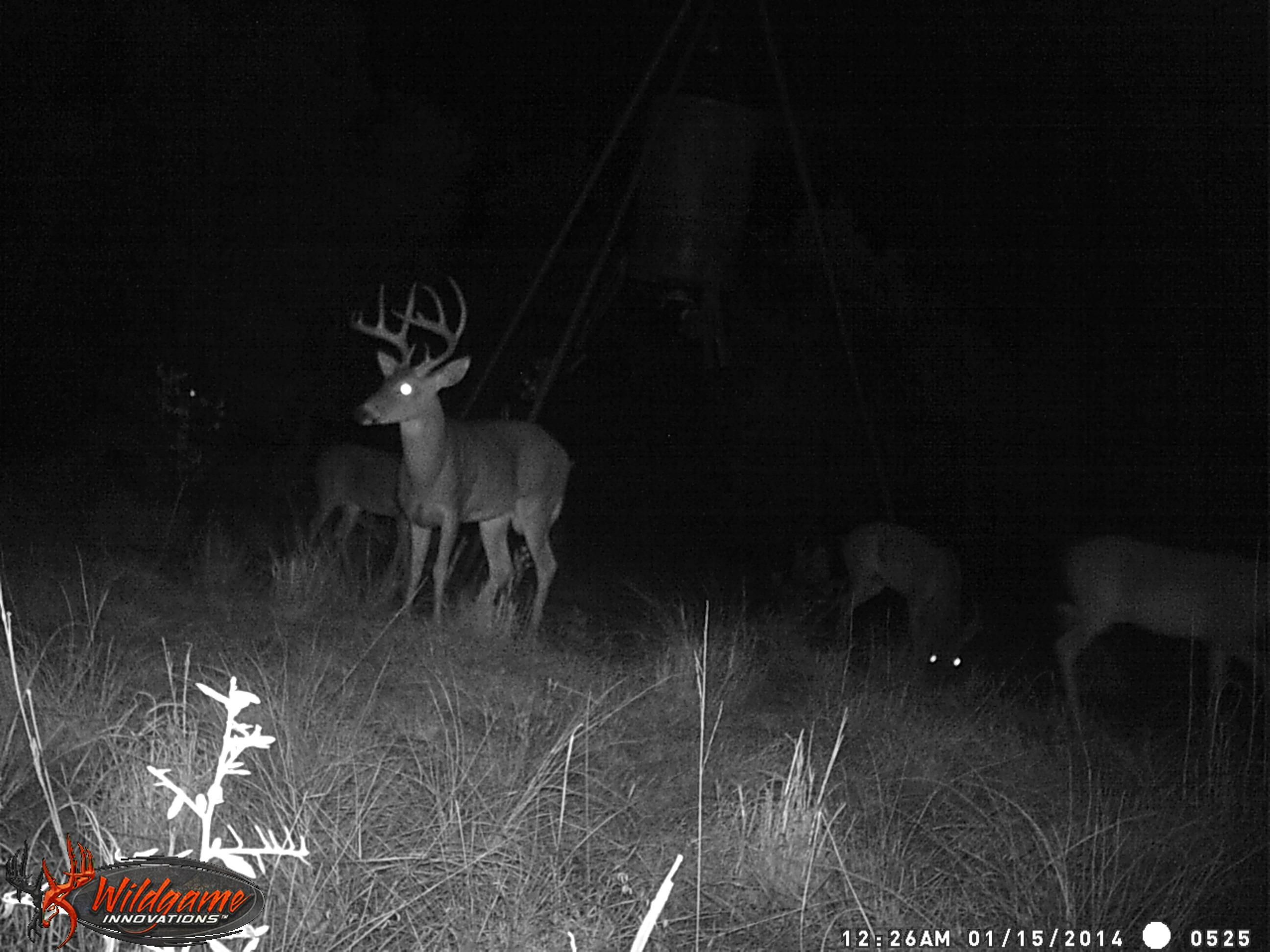 148 acres in Rocksprings, TX, 78880