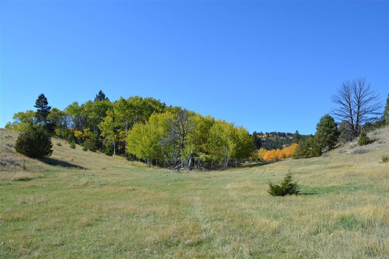 120 acres in Lewis and Clark County, Montana