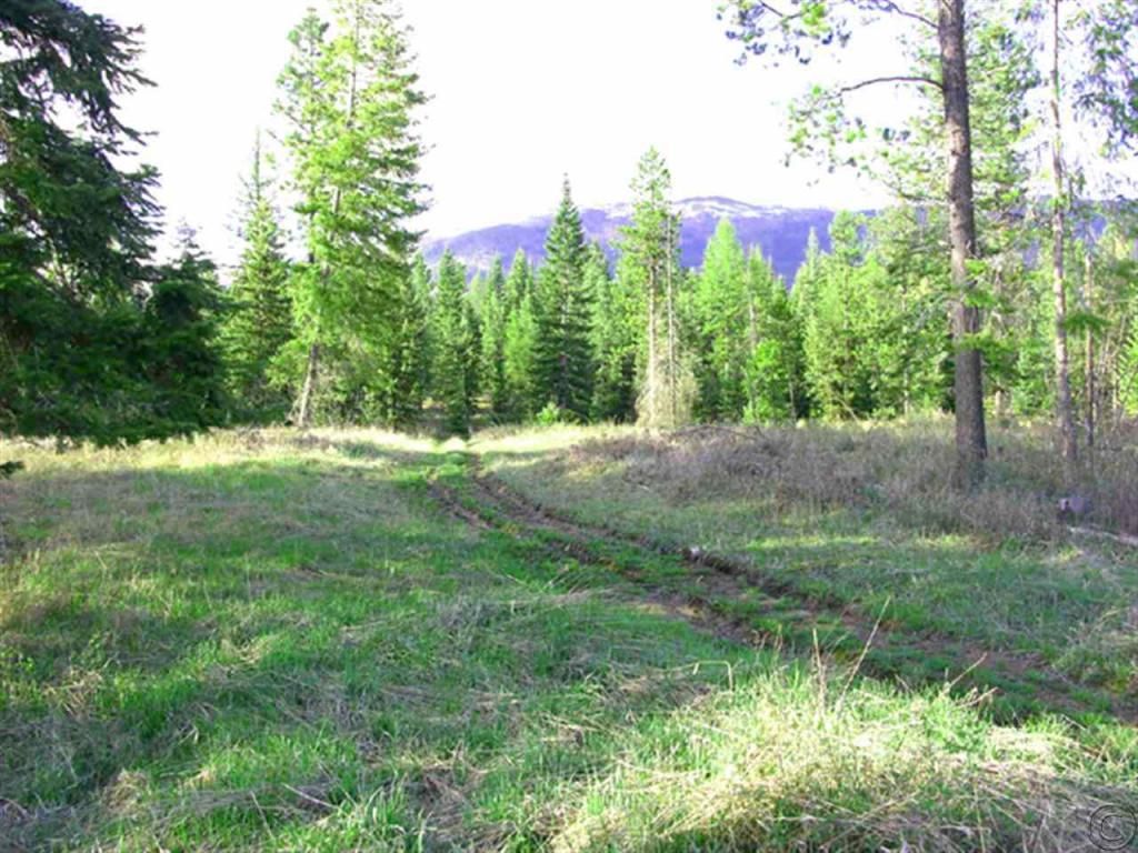 10 acres in Sanders County, Montana