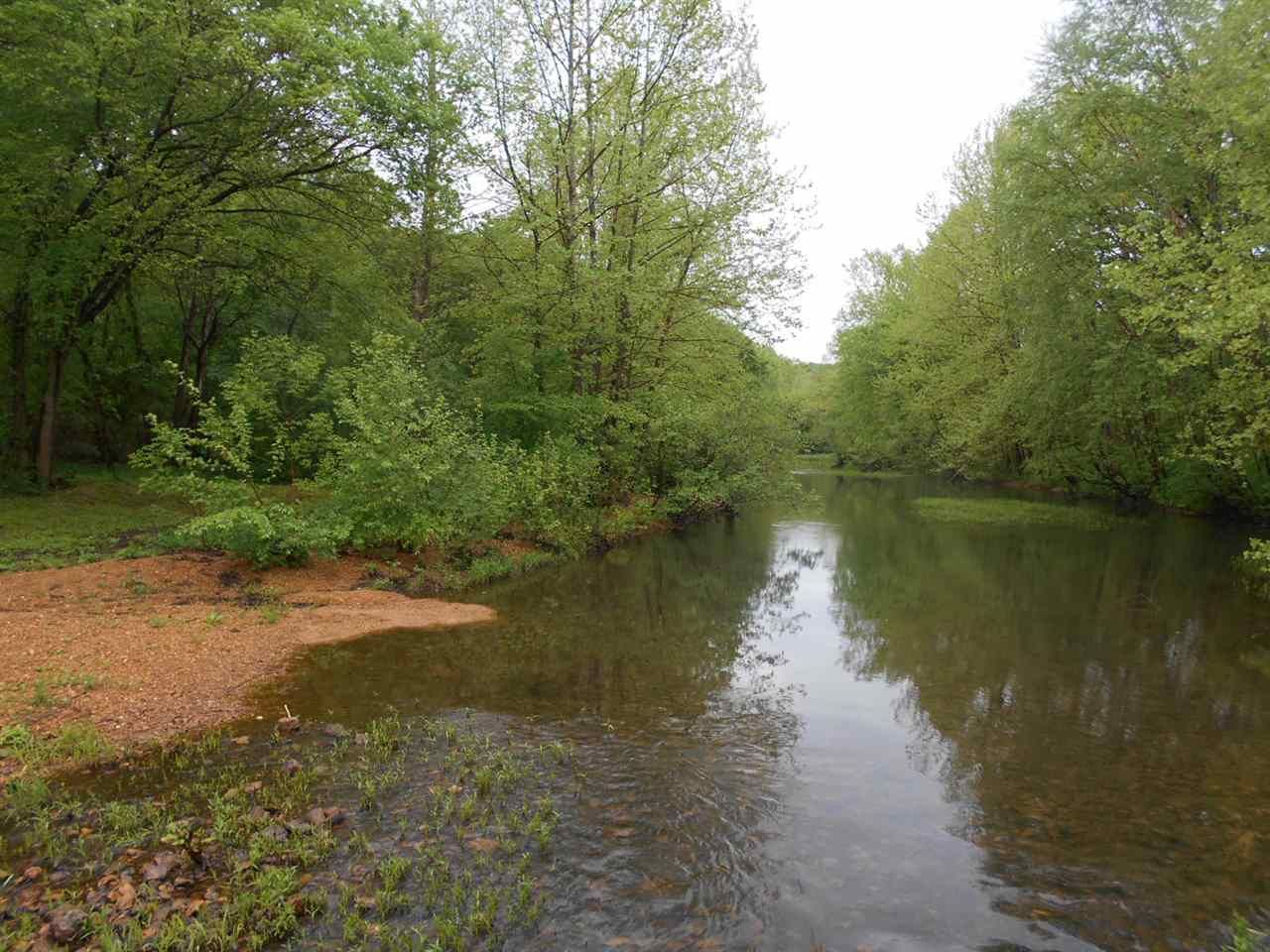 135 acres in Ripley County, Missouri