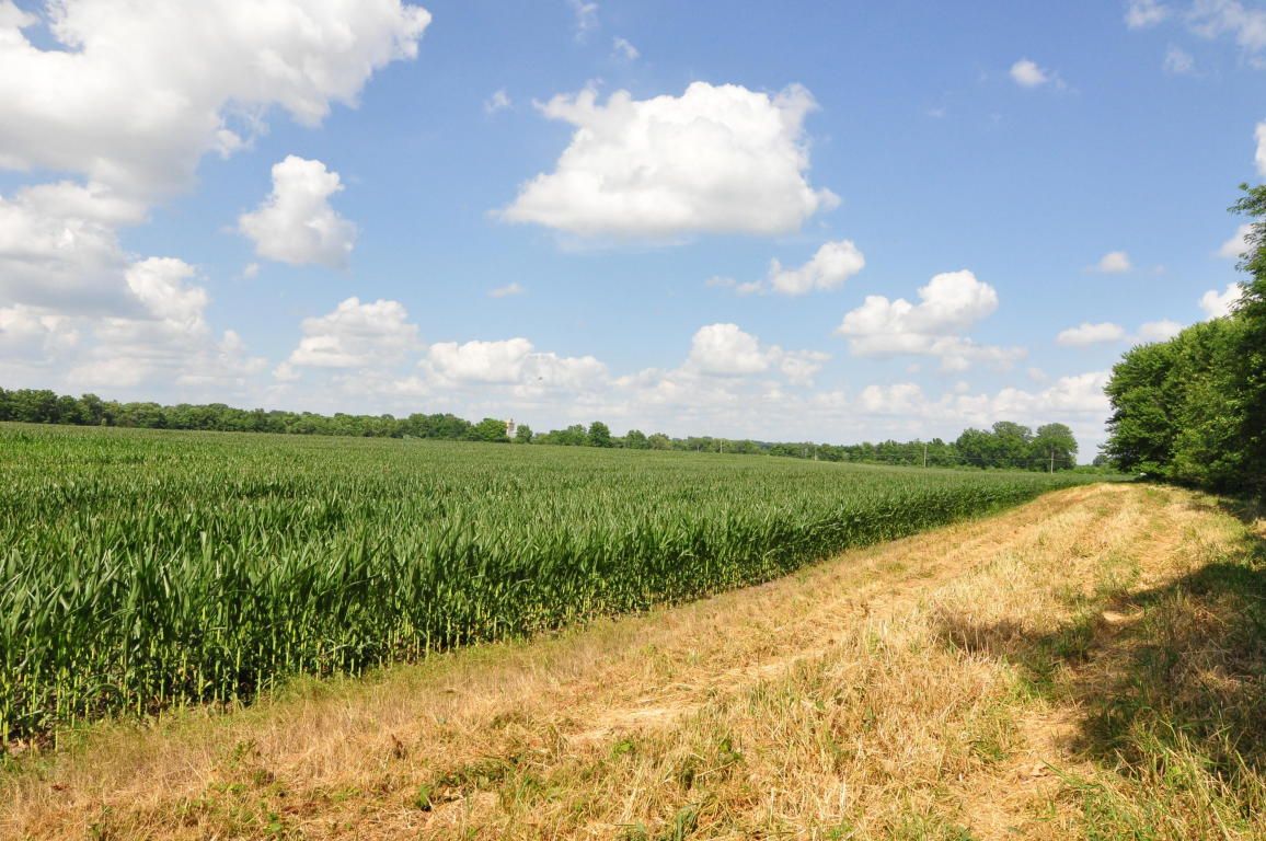 116 acres in Howard County, Missouri