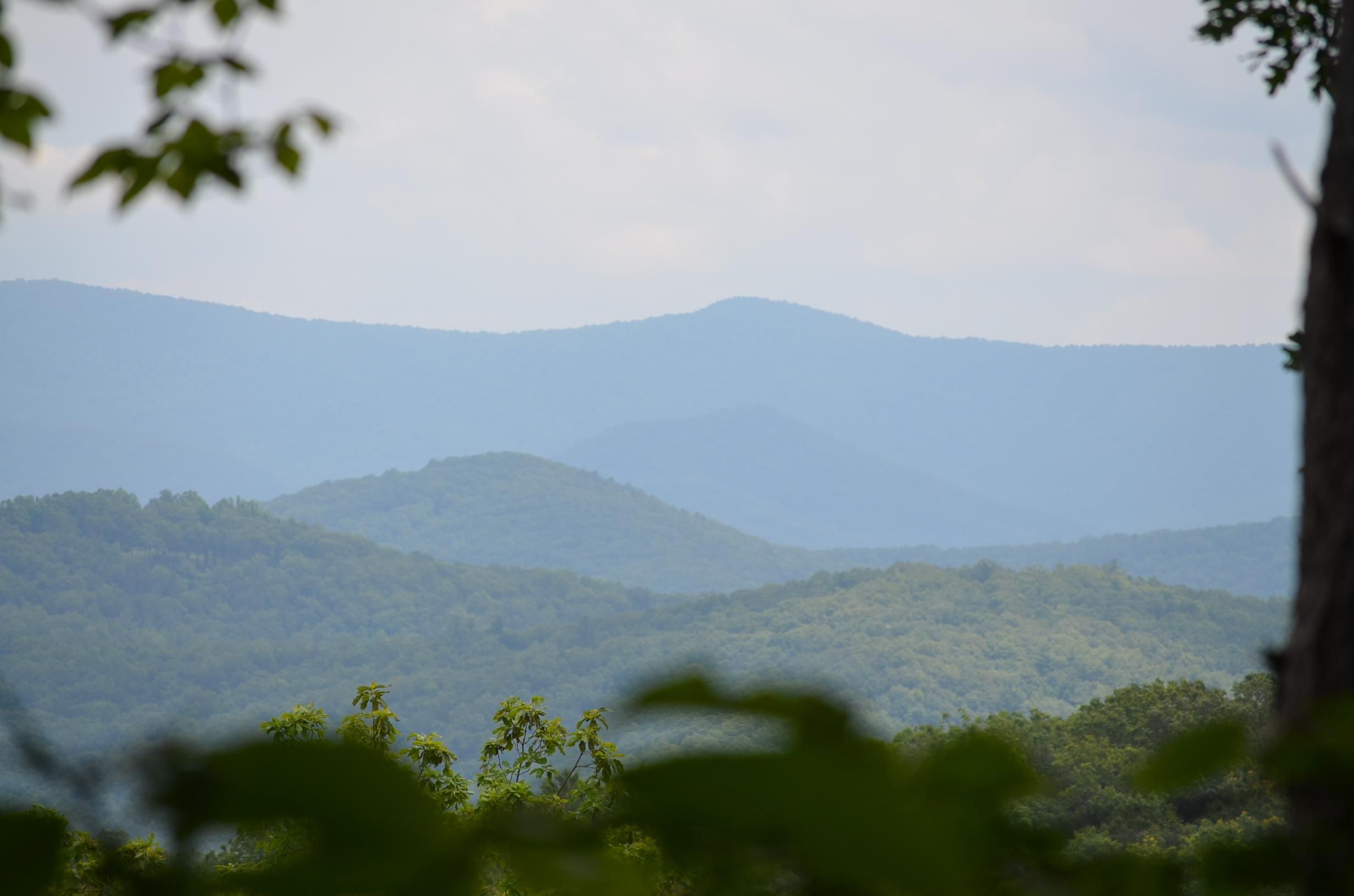 343 acres in Dawson County,