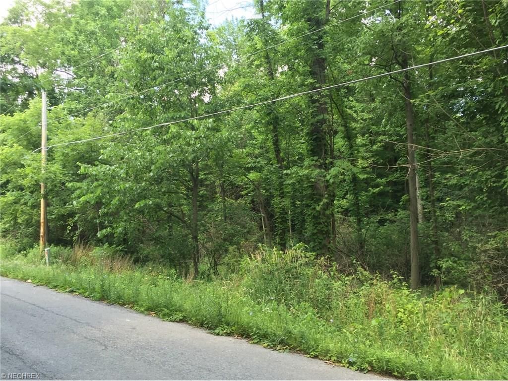 3 acres in Trumbull County, Ohio