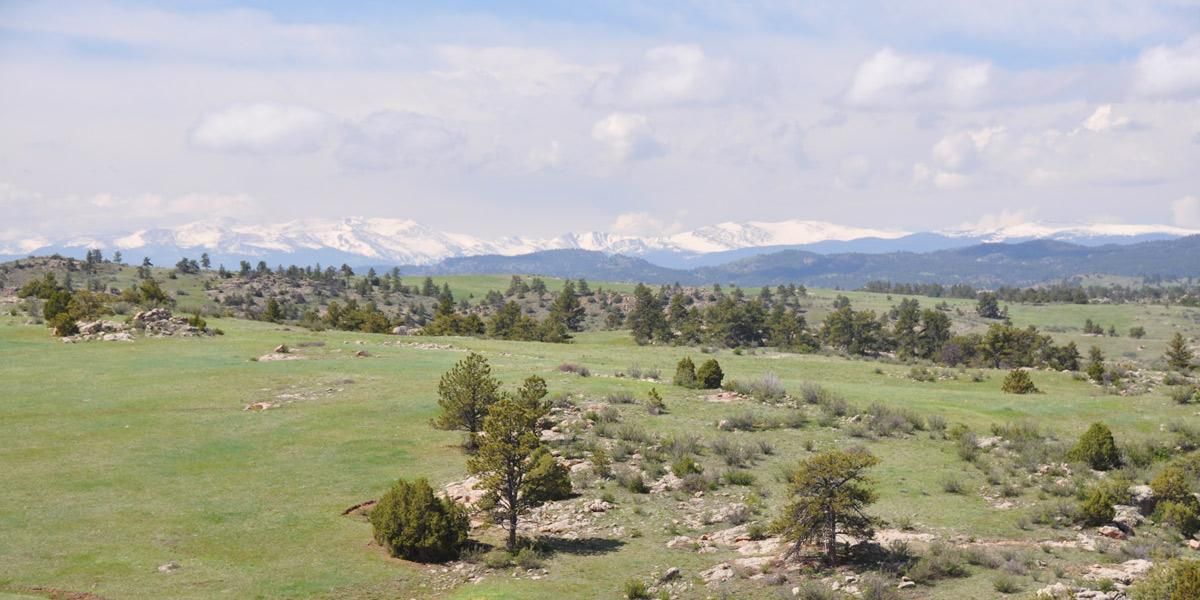 3,853 acres in Larimer County, Colorado