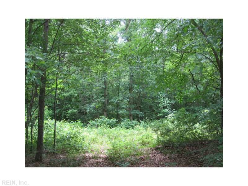 13+ACR WARES BRIDGE Road, Church View, VA 23032 MLS 1529420