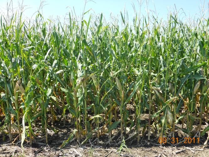 60 acres in Lancaster County, Nebraska