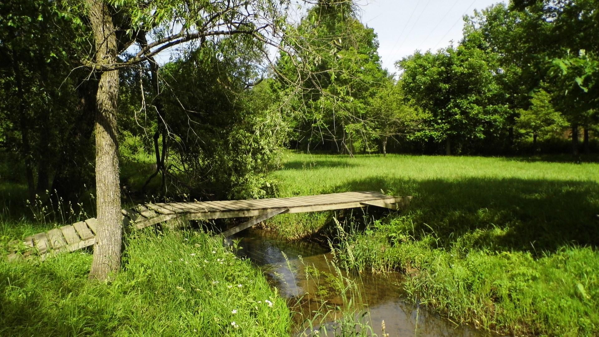 10 acres in Lapeer County, Michigan