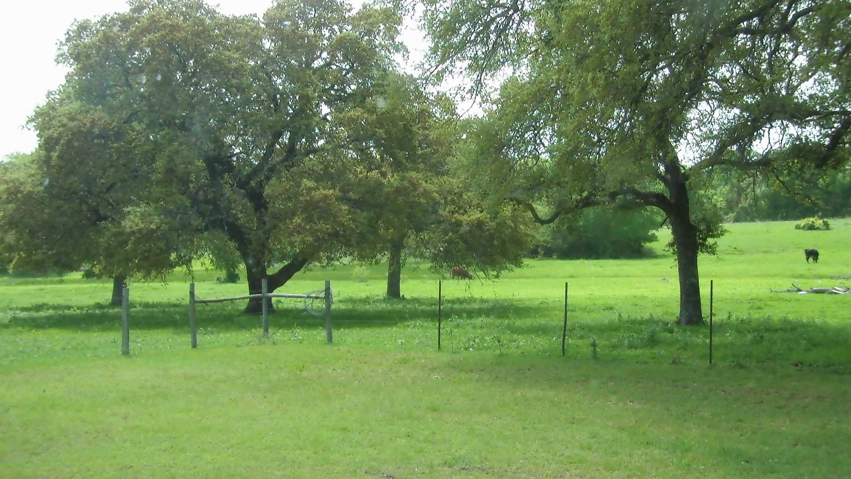 100 acres in Falls County, Texas