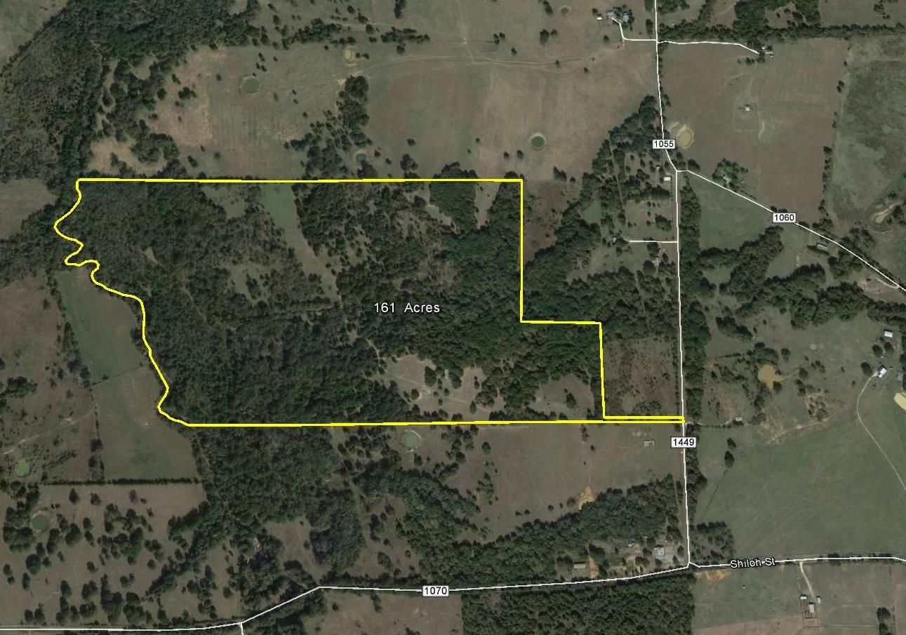 161 acres in Freestone County, Texas