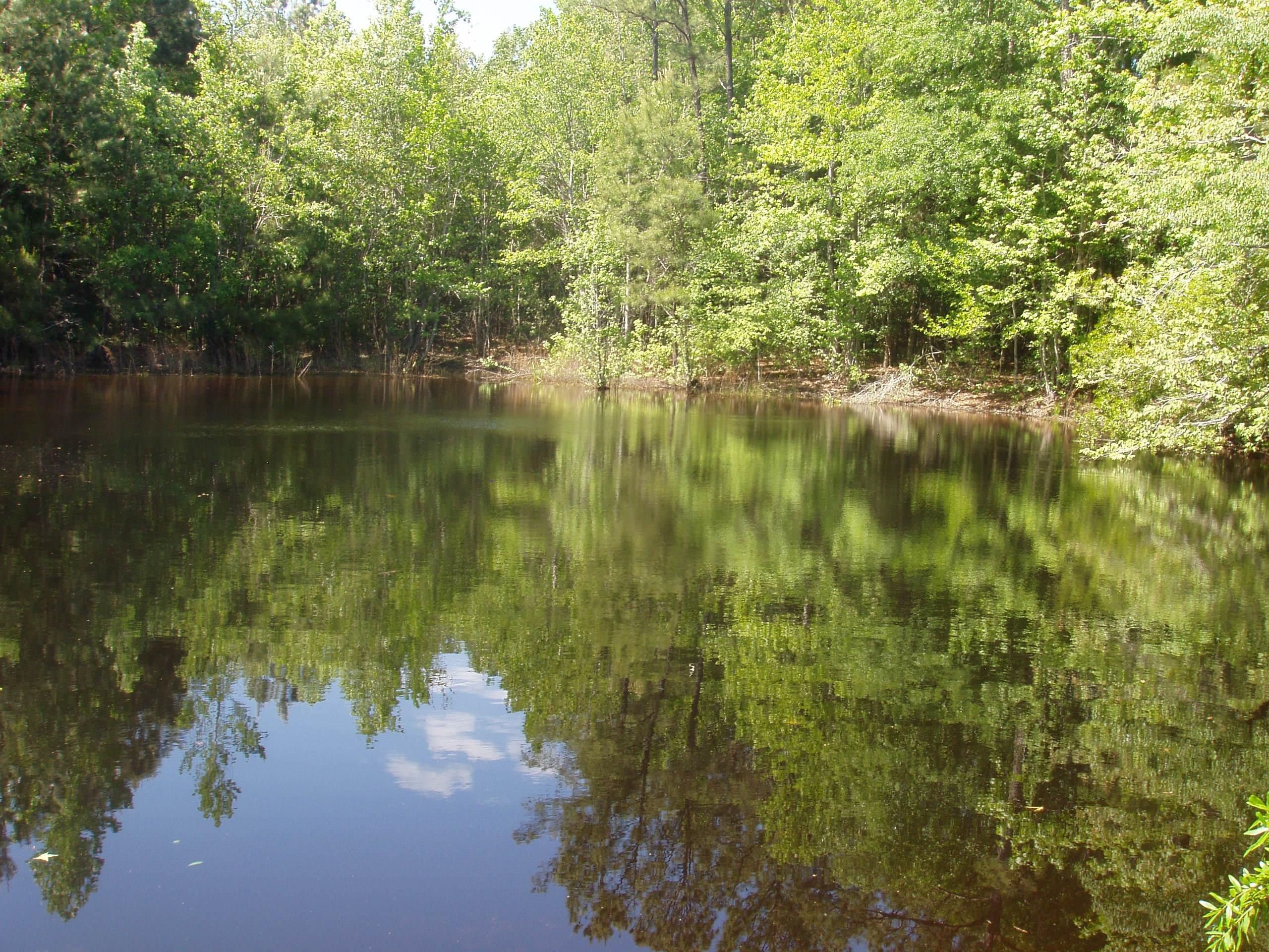 150 acres in Pike County, Alabama