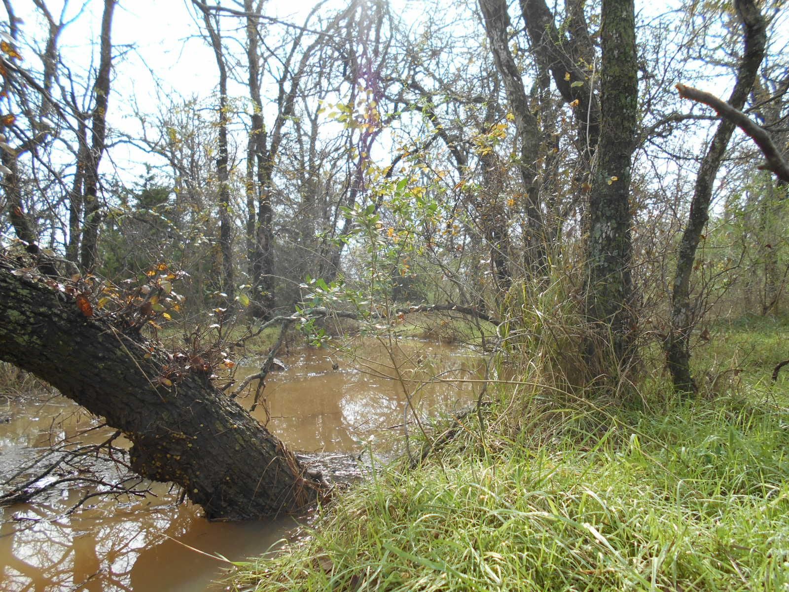 100 acres in Coleman County, Texas