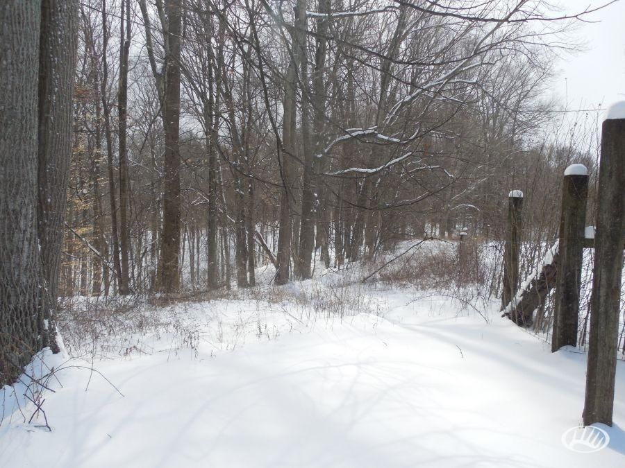 41 acres in Owen County, Indiana