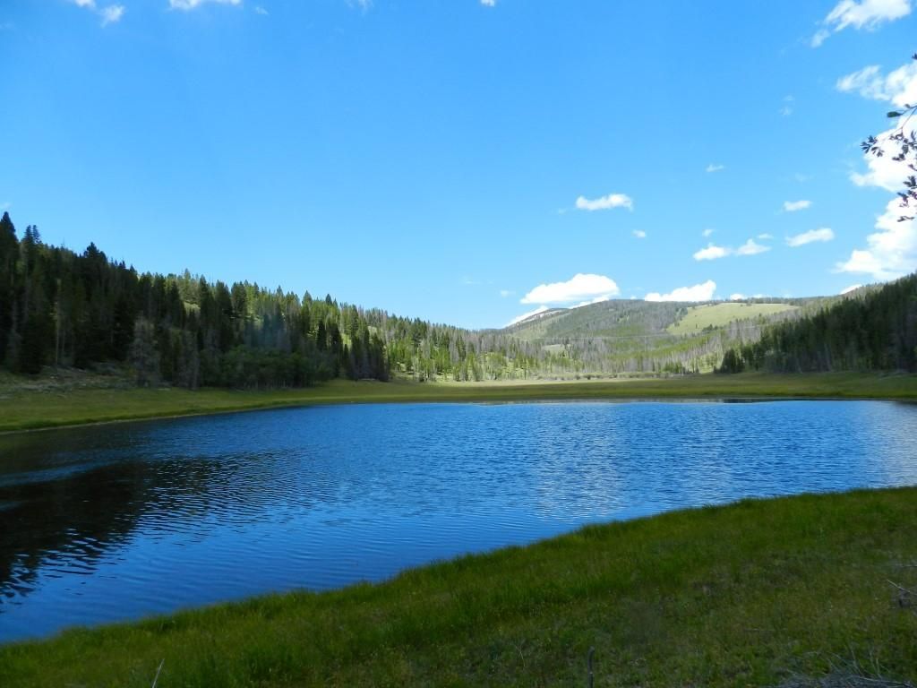 150 acres in Deer Lodge County, Montana