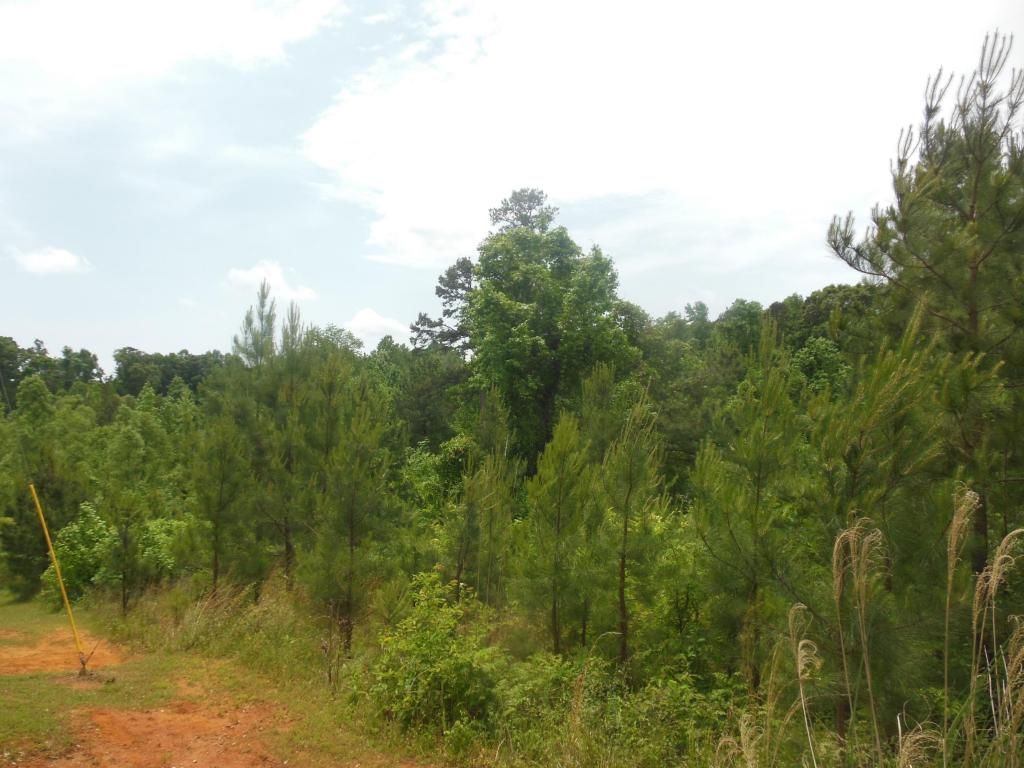 9.27 acres in Pontotoc County, Mississippi
