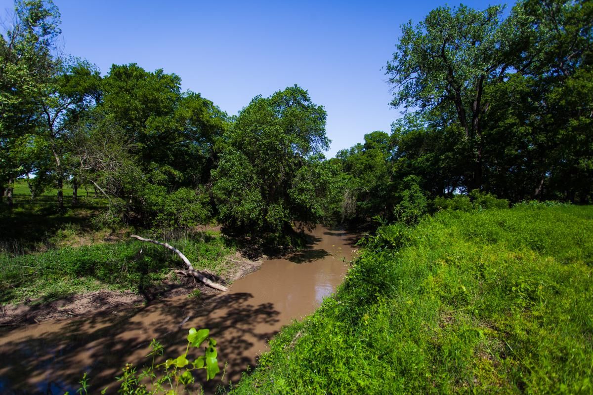 T.B.D. CR 198, Jonesboro, TX 76538