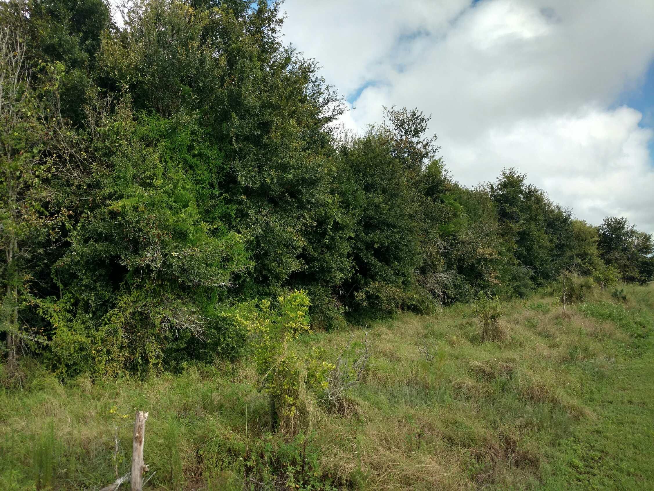 5 acres in Hardee County, Florida