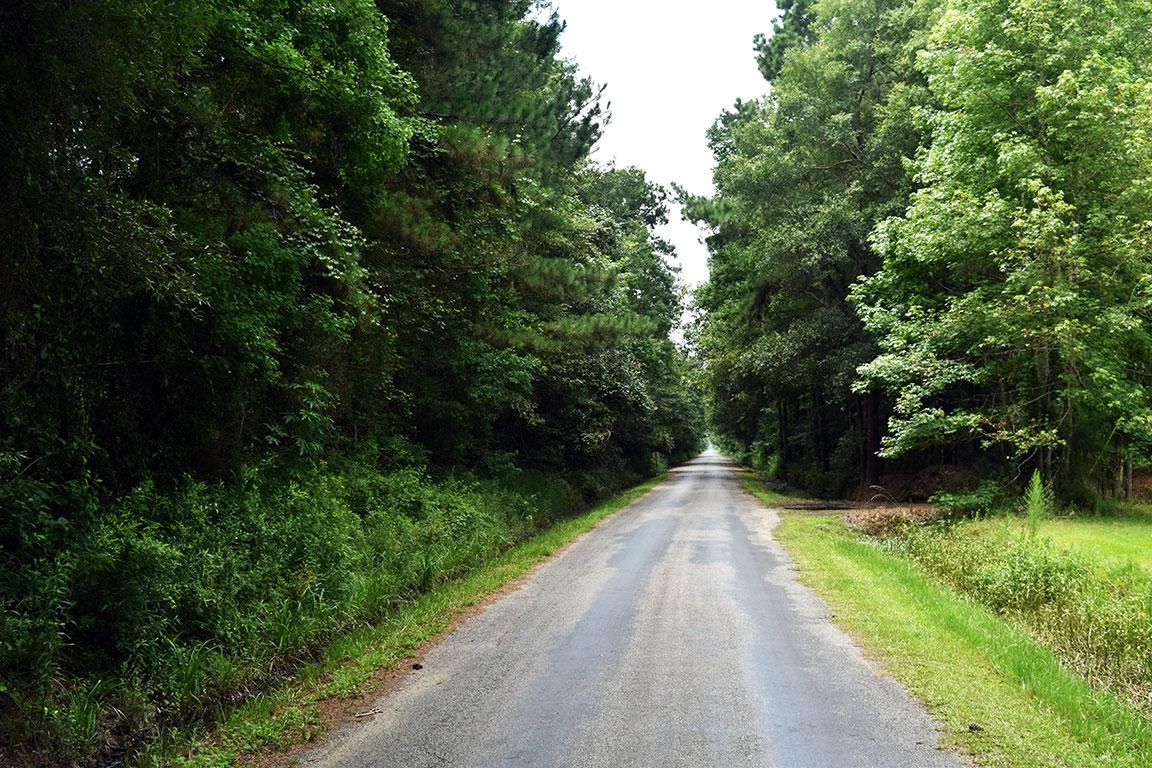 40 acres in Allen Parish, Louisiana