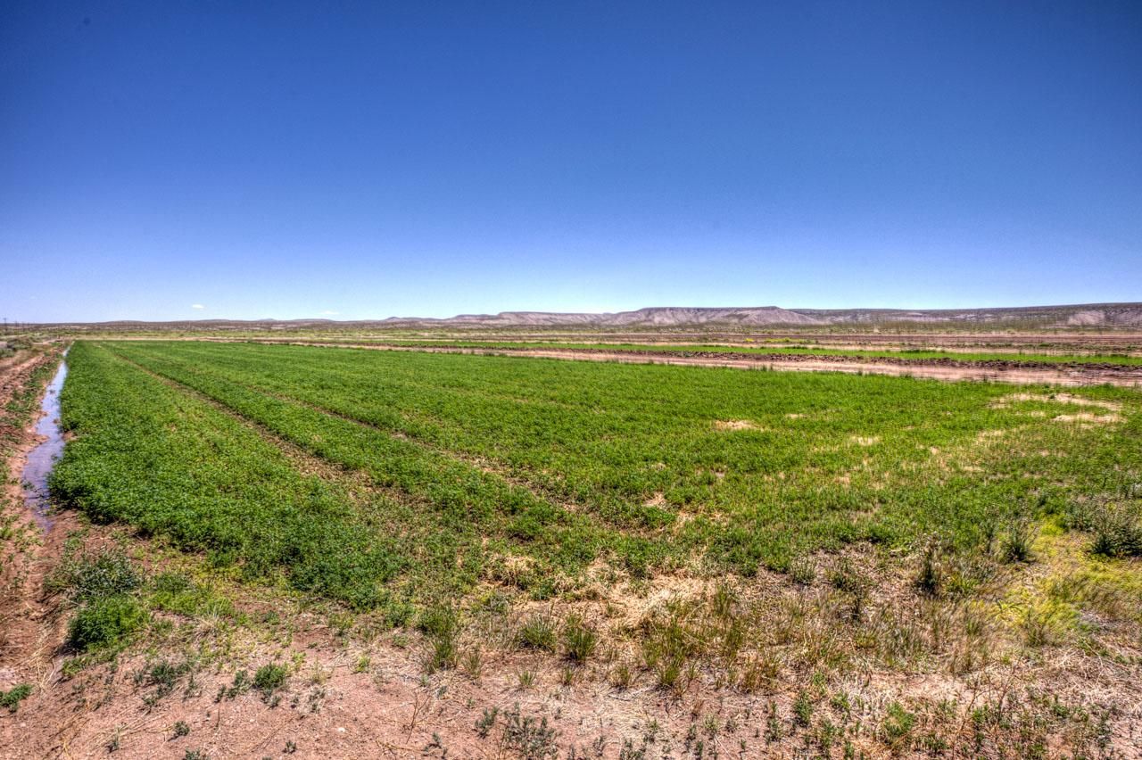 177 acres in Dona Ana County, New Mexico