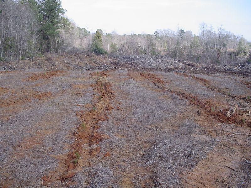 27 acres in Newton County, Mississippi