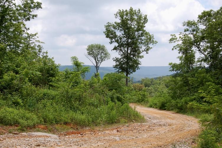 120 acres in Franklin County, Tennessee