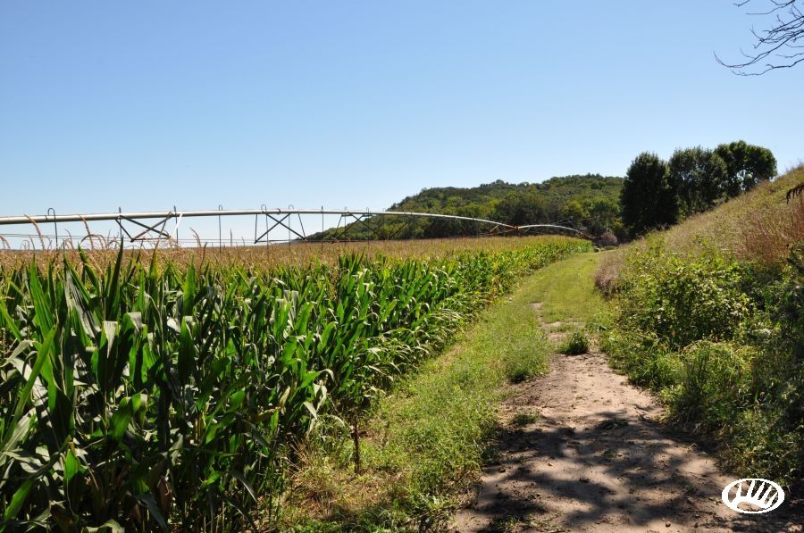 140 acres in Cedar County, Nebraska