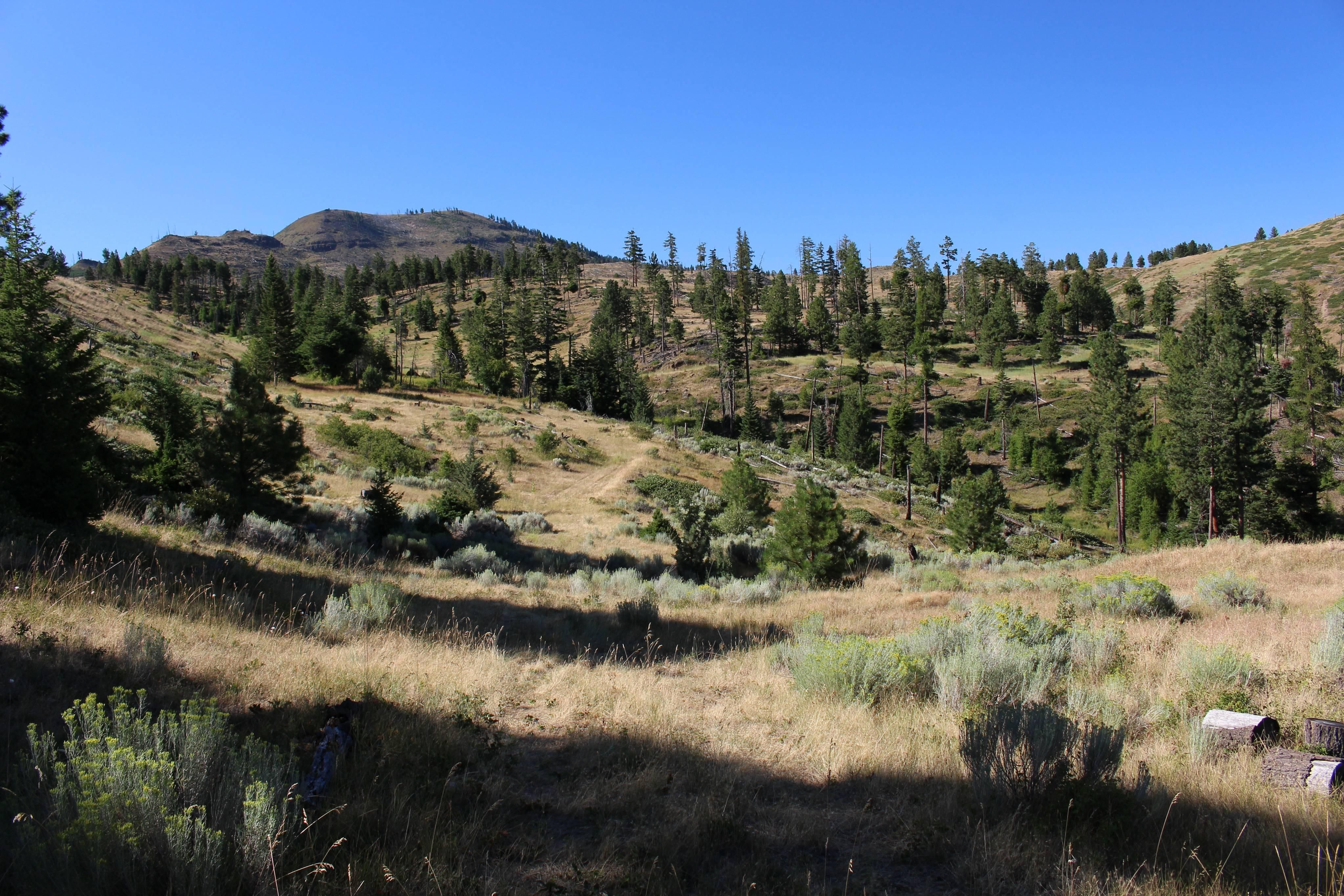 4,700 acres in Wheeler County, Oregon