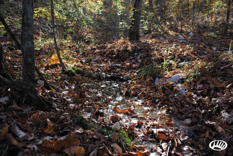 19 acres in Winston County, Alabama