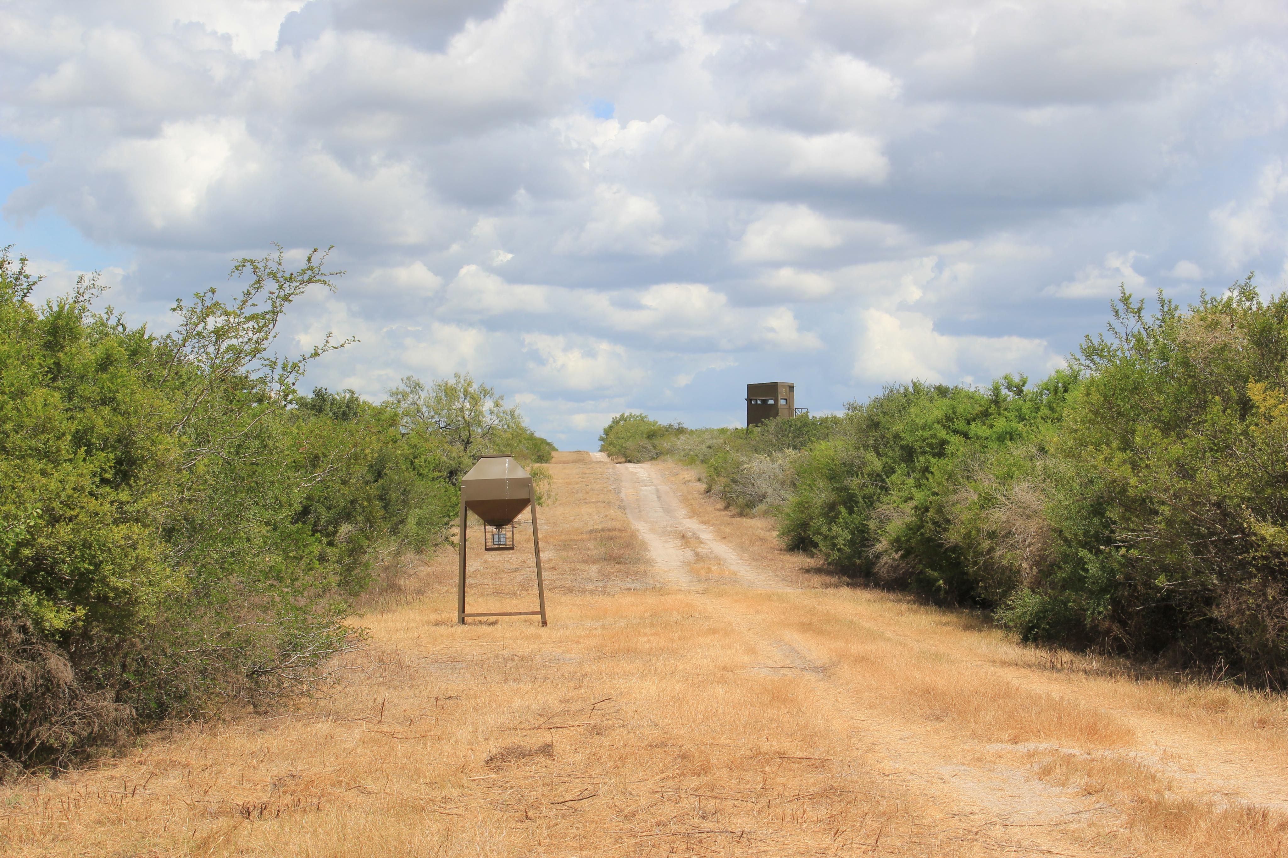 640 acres in Live Oak County, Texas