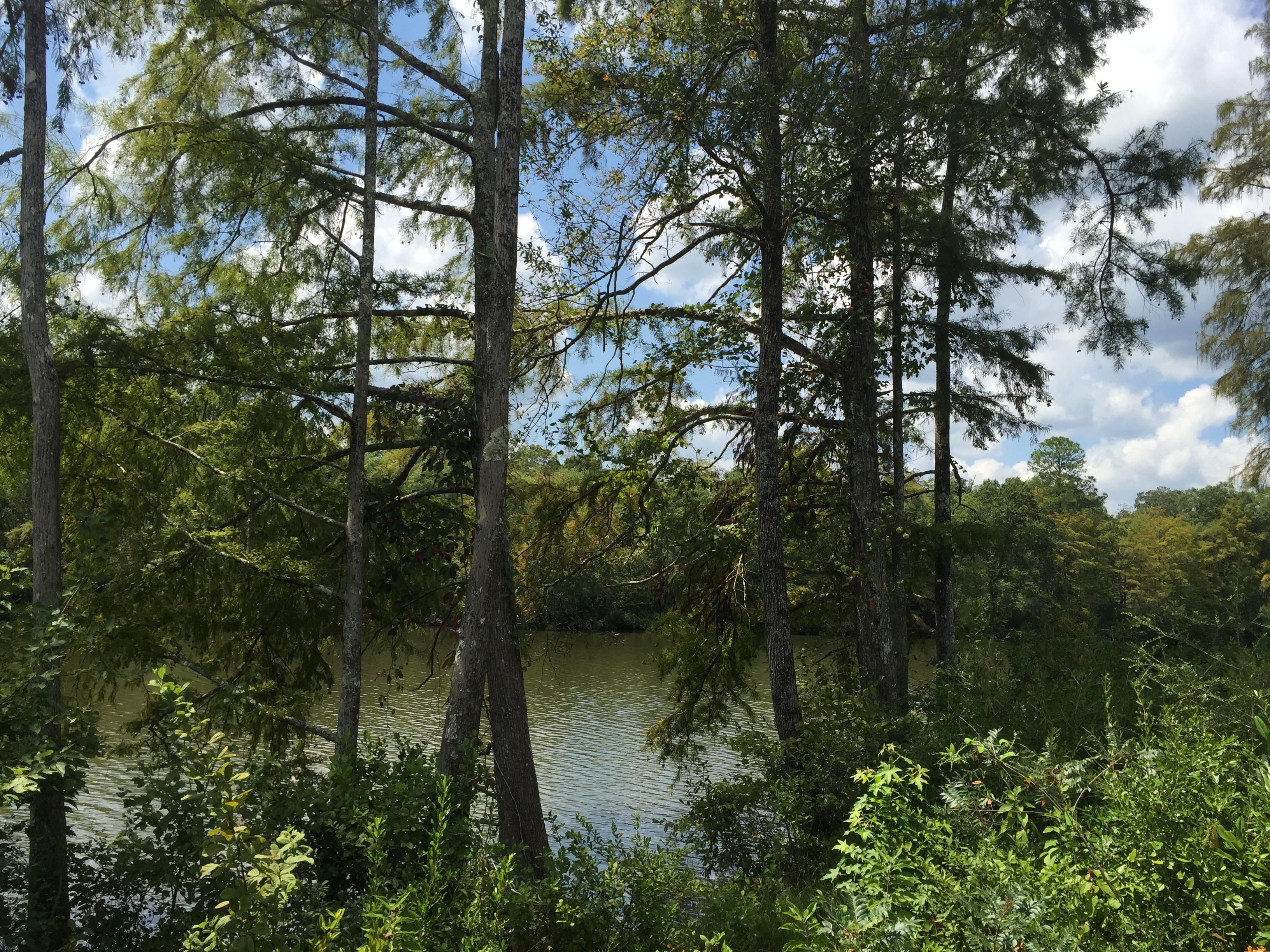 0.7 acres in Covington County, Alabama