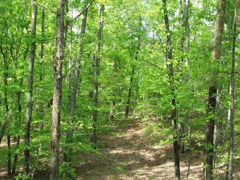 112 acres in Bibb County, Alabama
