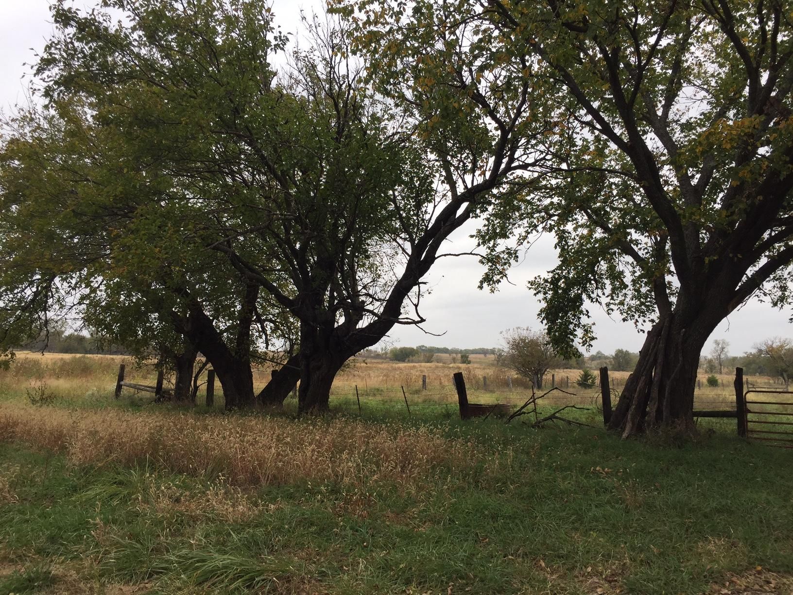 160 acres in Osage County, Kansas