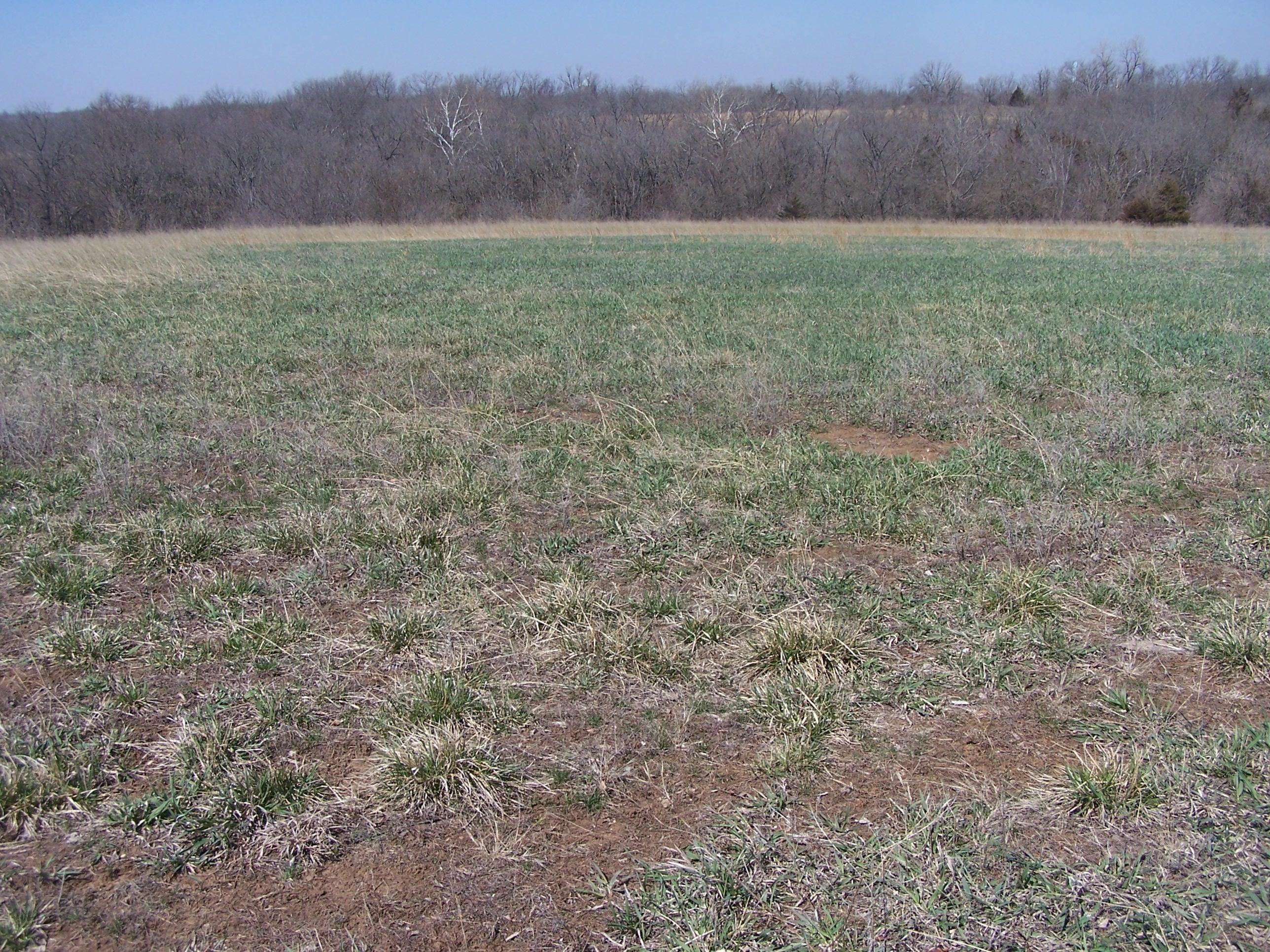 70 acres in Jackson County, Kansas