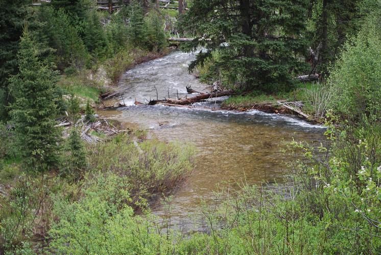 82 acres in Lemhi County, Idaho