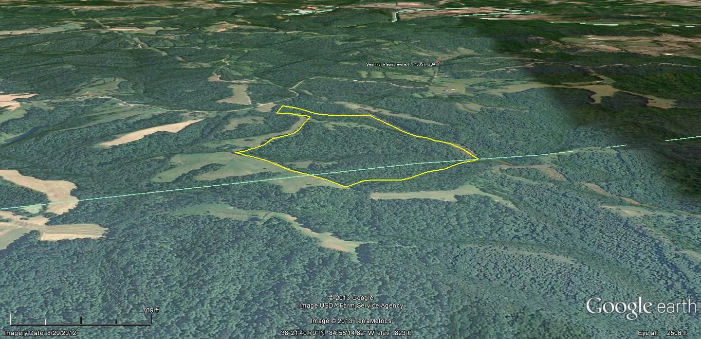 100 acres in Henry County, Kentucky