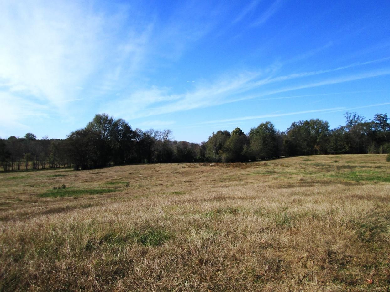 42 acres in Marengo County, Alabama