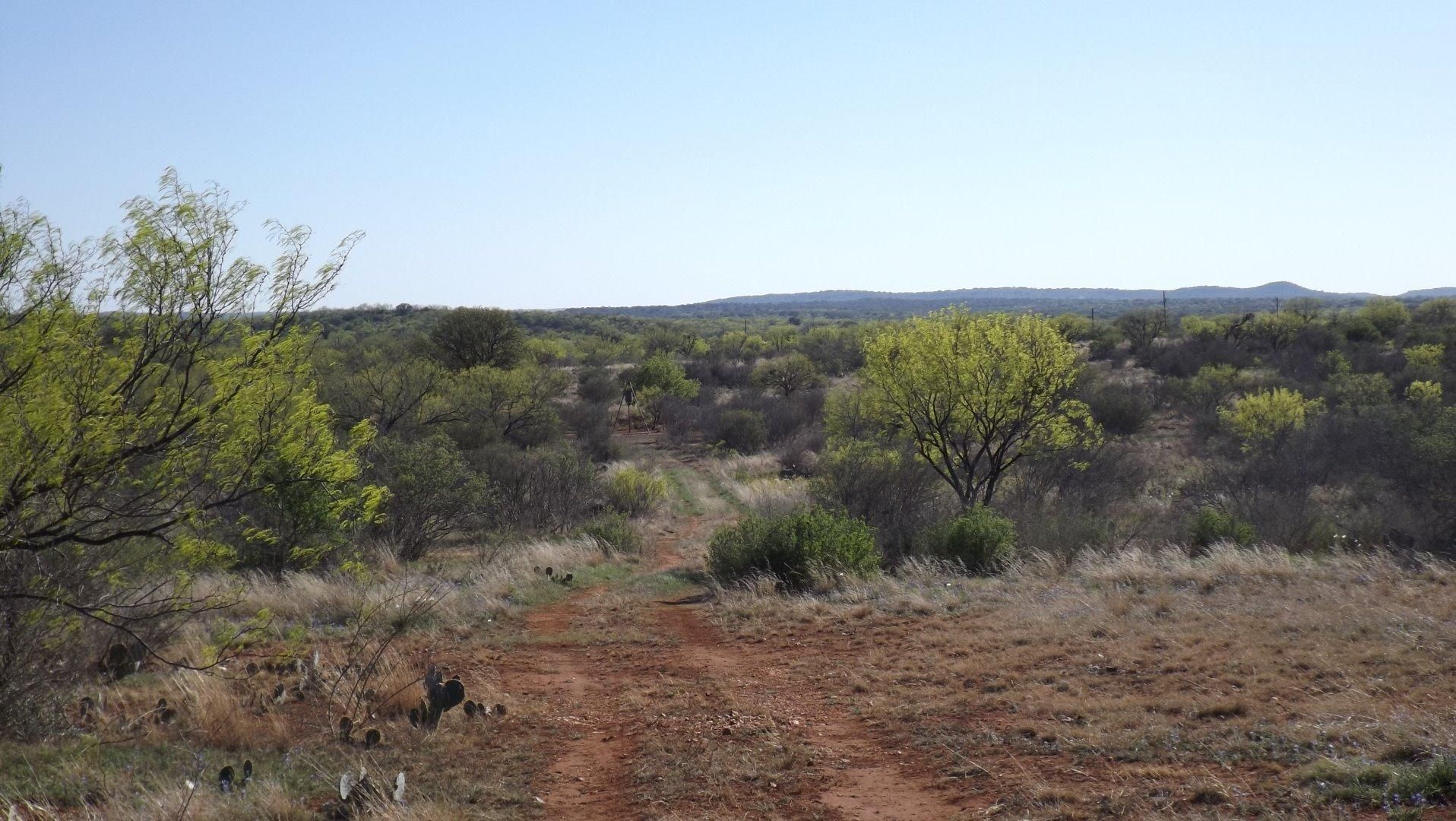 218.67 acres in Mason County, Texas