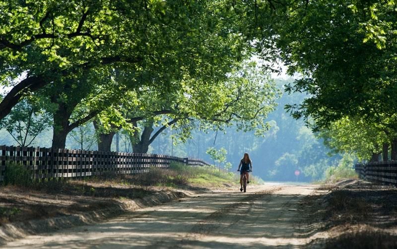 1,011 acres in Crisp County,