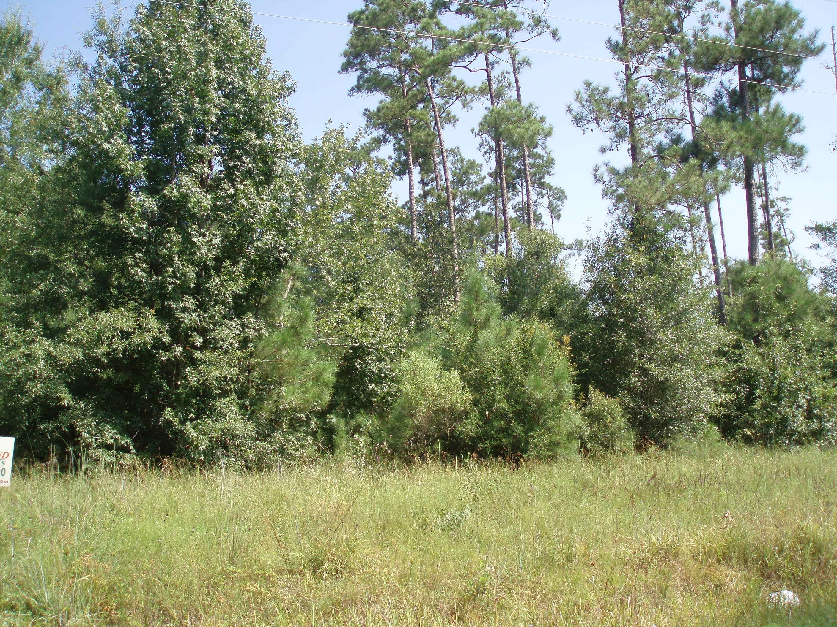 46 acres in Jasper County, Texas